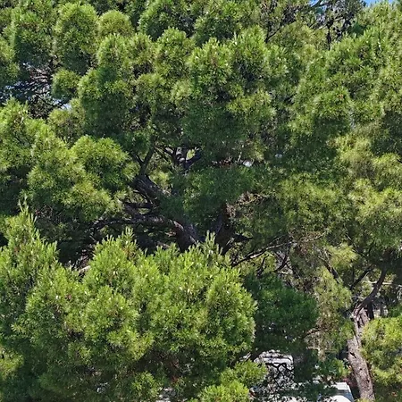 The Location In Makarska,free P,apt Mile,bikes Makarska